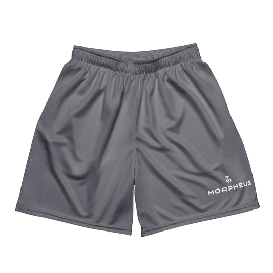 Exclusive Washed Grey Mesh Shorts