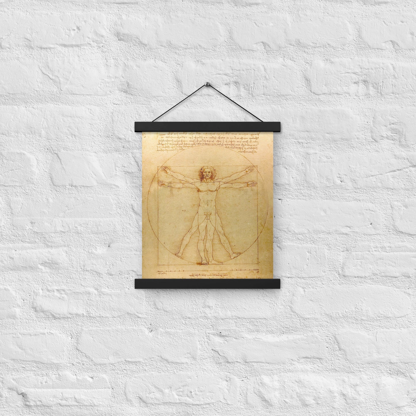 Vitruvian Man Leonardo da Vinci Wall Art