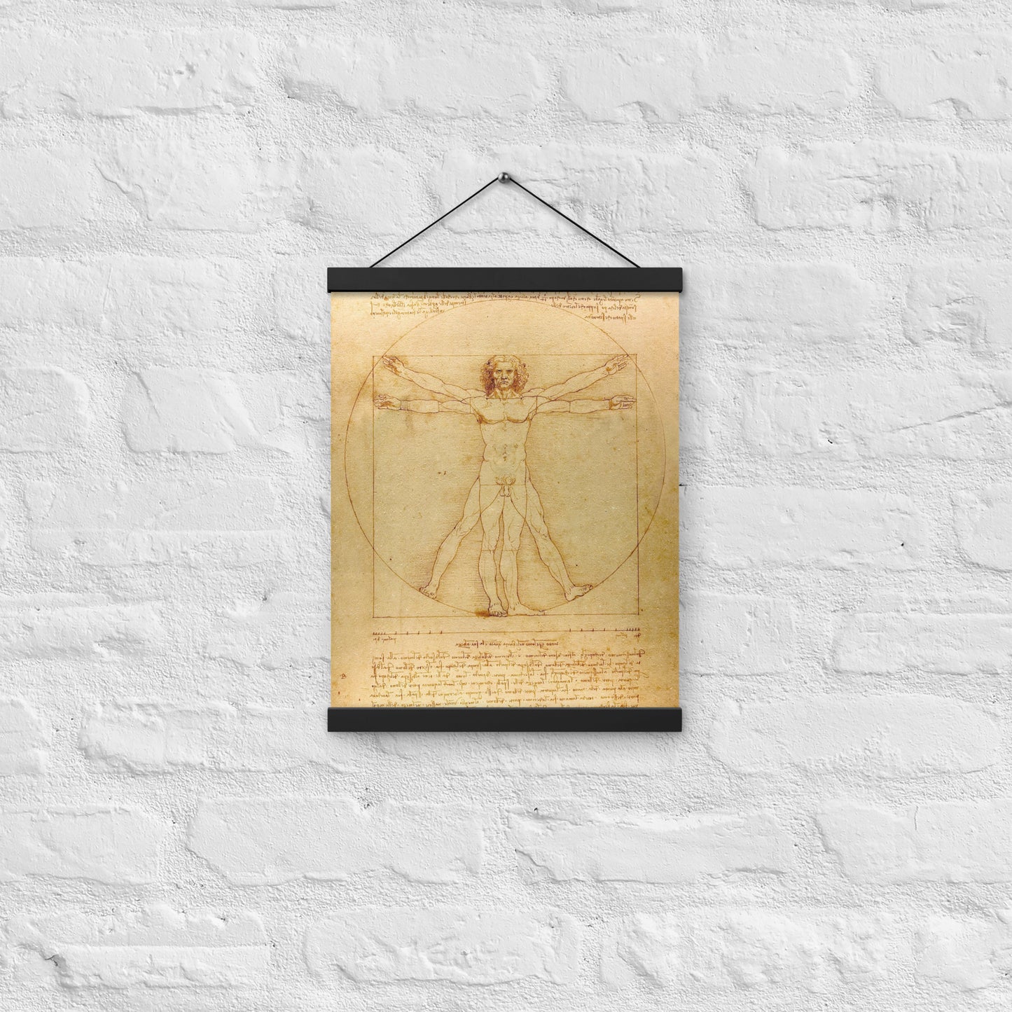 Vitruvian Man Leonardo da Vinci Wall Art