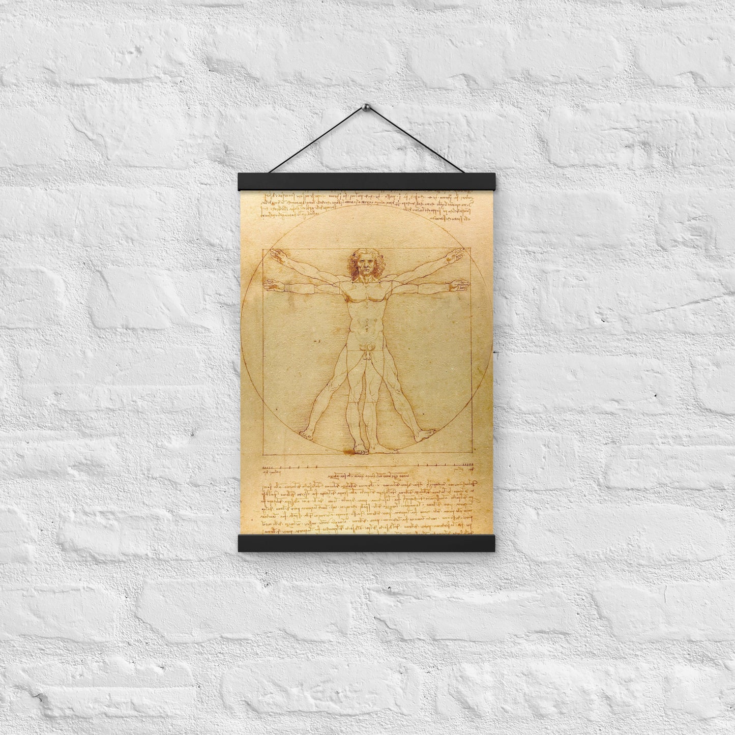 Vitruvian Man Leonardo da Vinci Wall Art