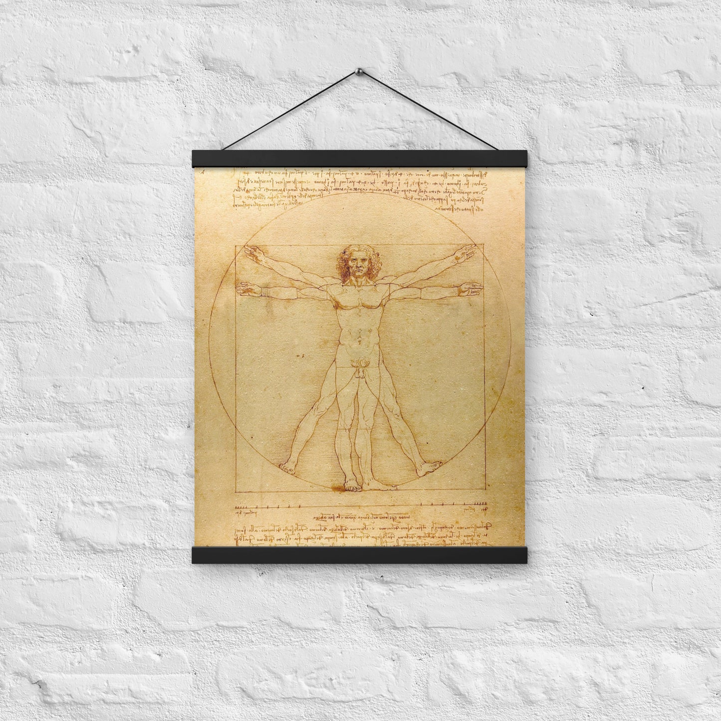 Vitruvian Man Leonardo da Vinci Wall Art