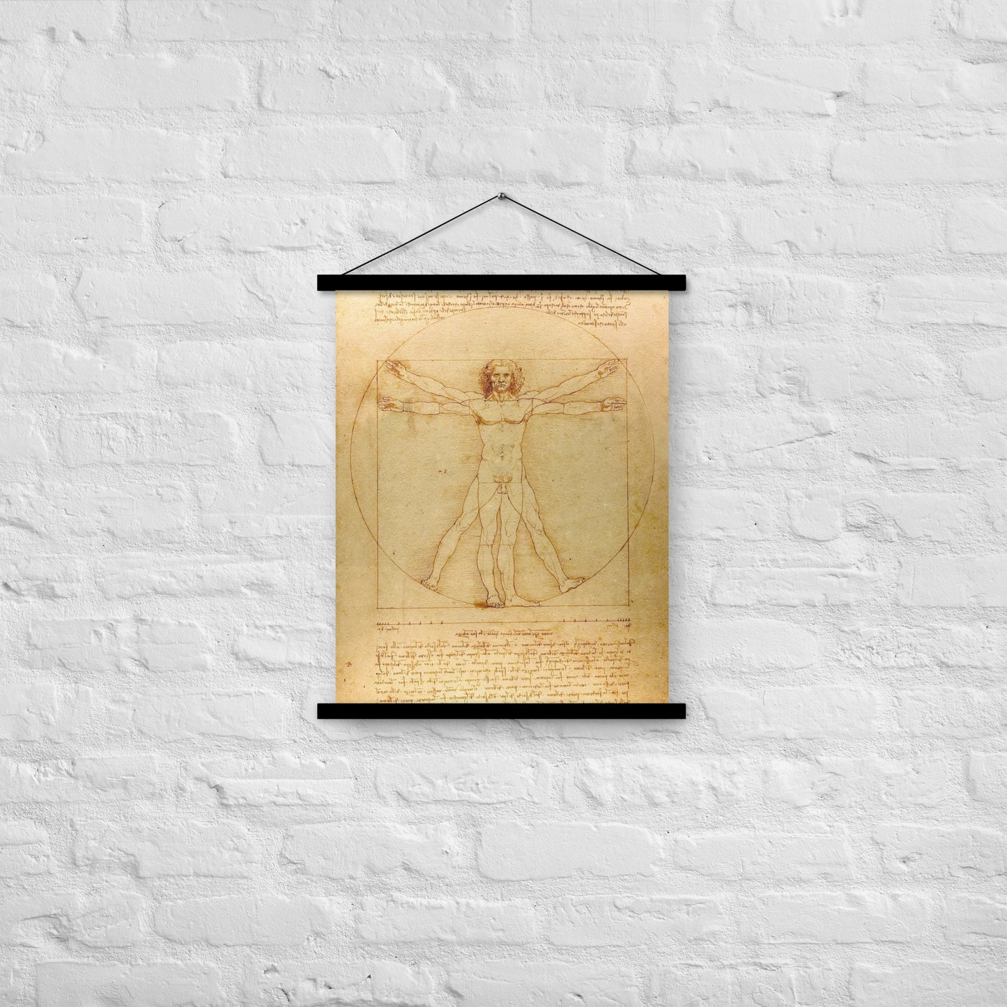 Vitruvian Man Leonardo da Vinci Wall Art