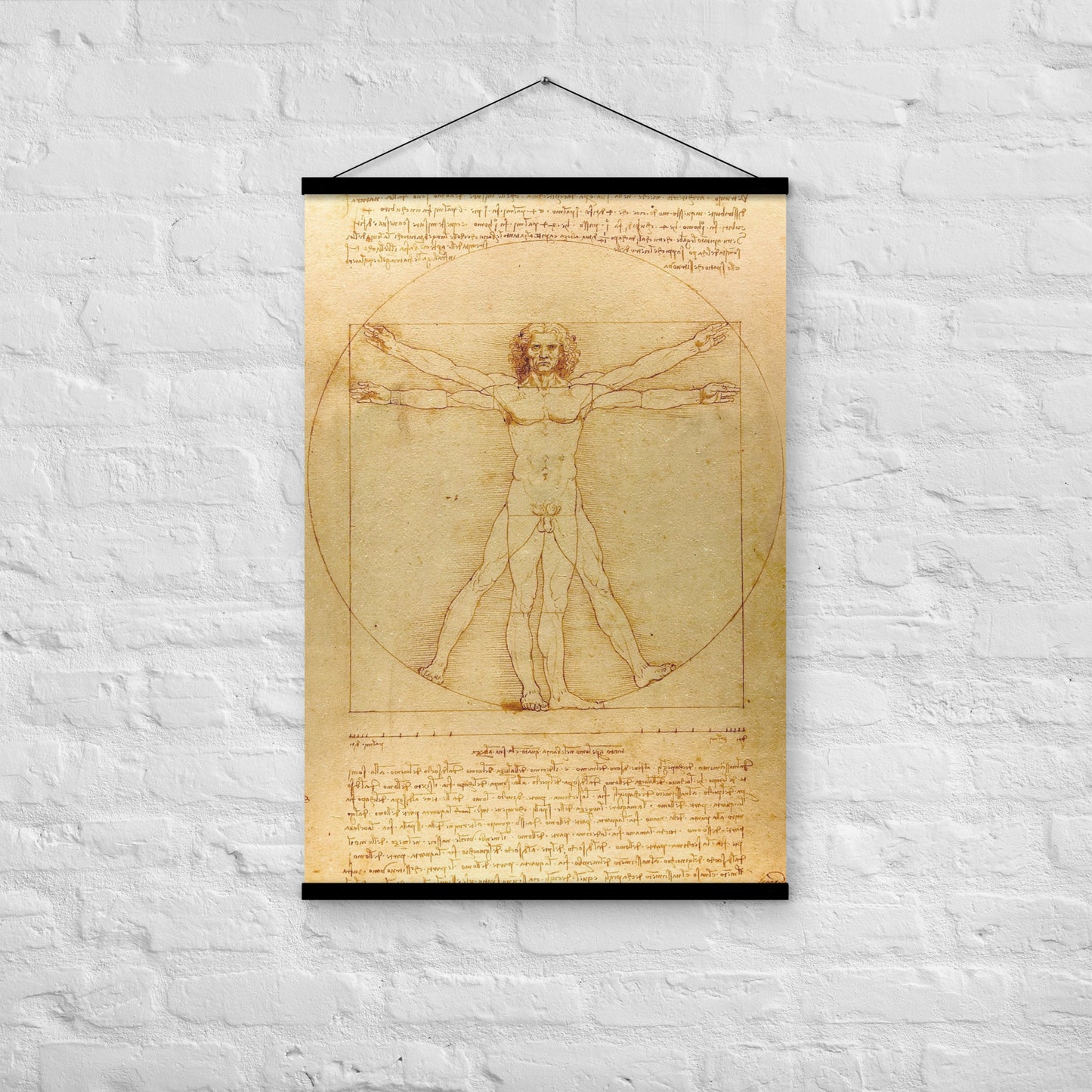 Vitruvian Man Leonardo da Vinci Wall Art