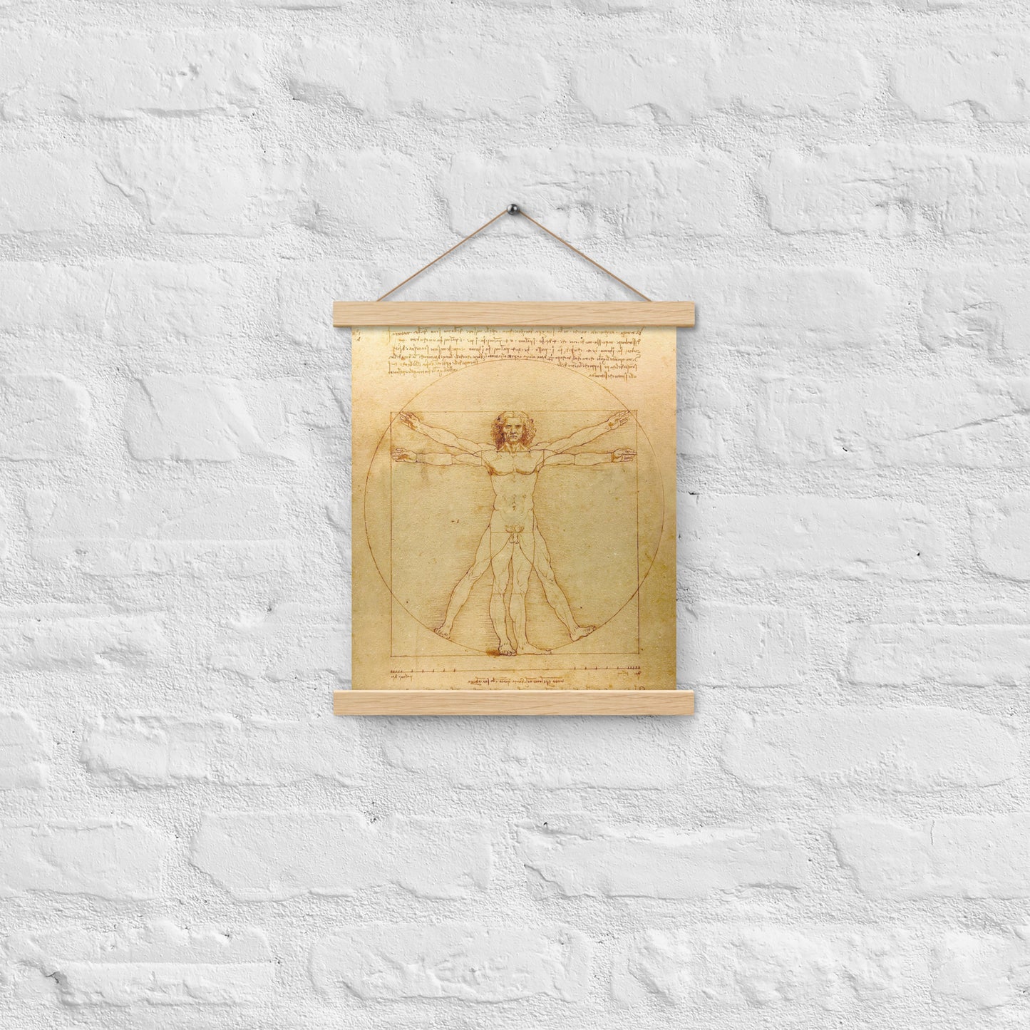 Vitruvian Man Leonardo da Vinci Wall Art