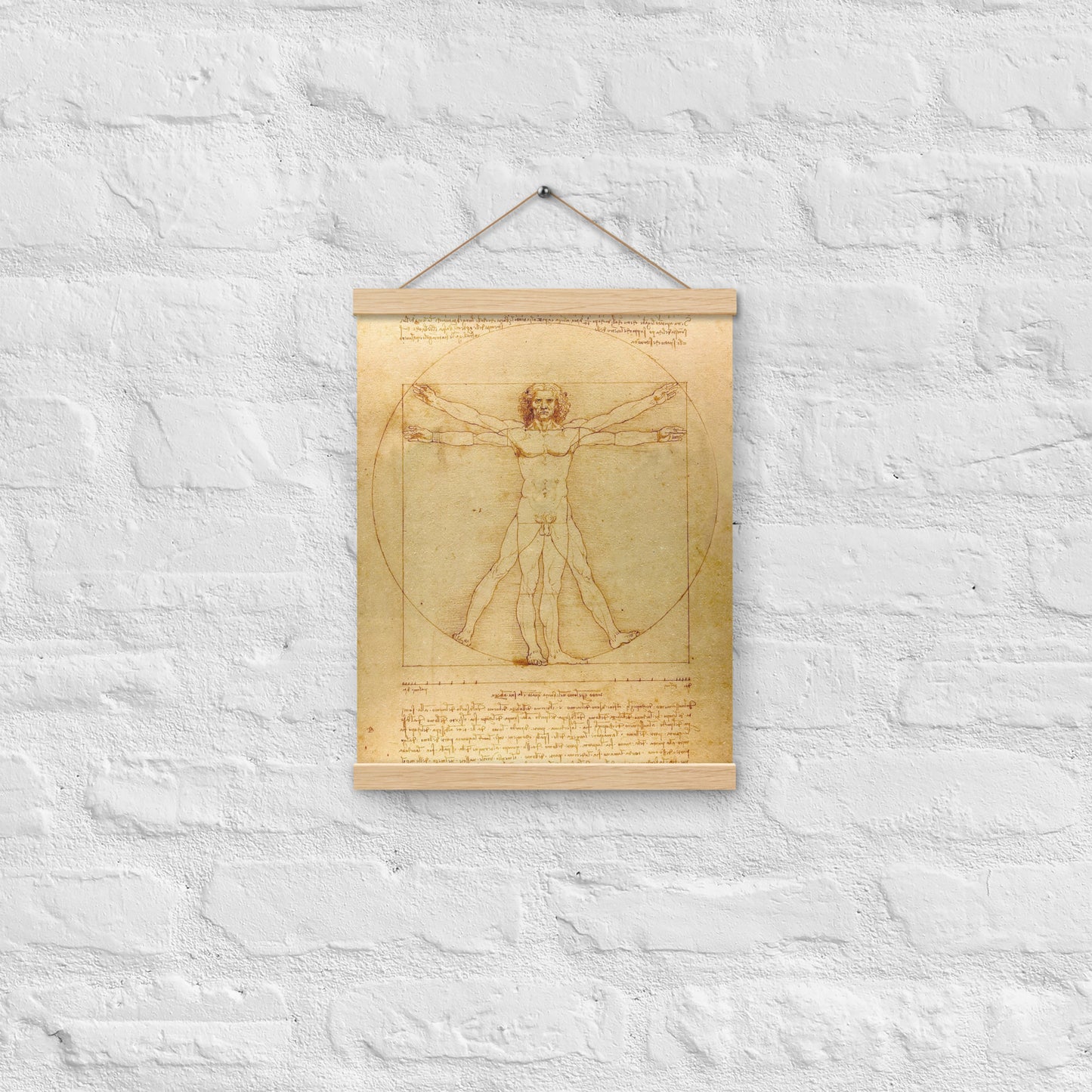 Vitruvian Man Leonardo da Vinci Wall Art