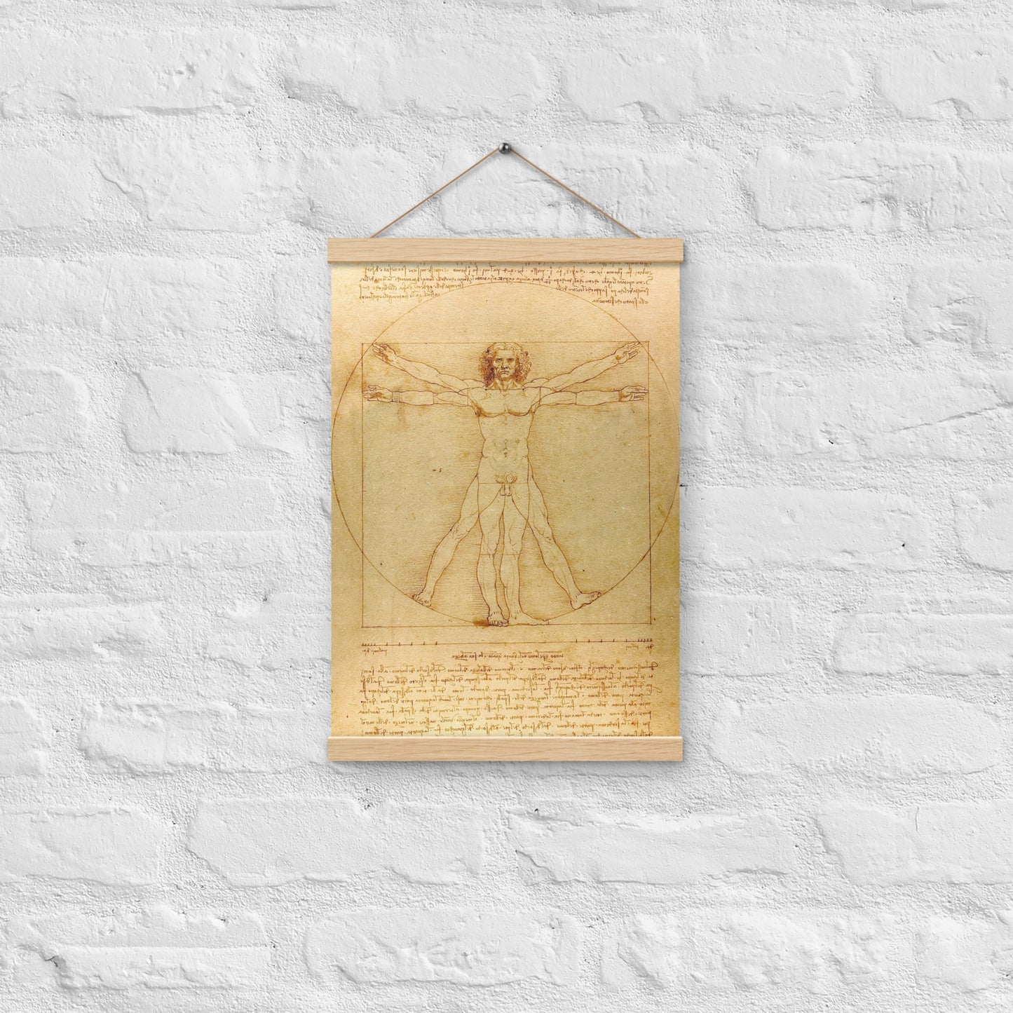 Vitruvian Man Leonardo da Vinci Wall Art