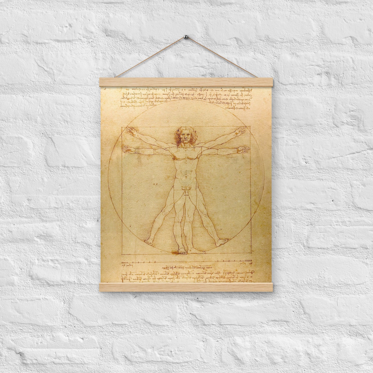 Vitruvian Man Leonardo da Vinci Wall Art