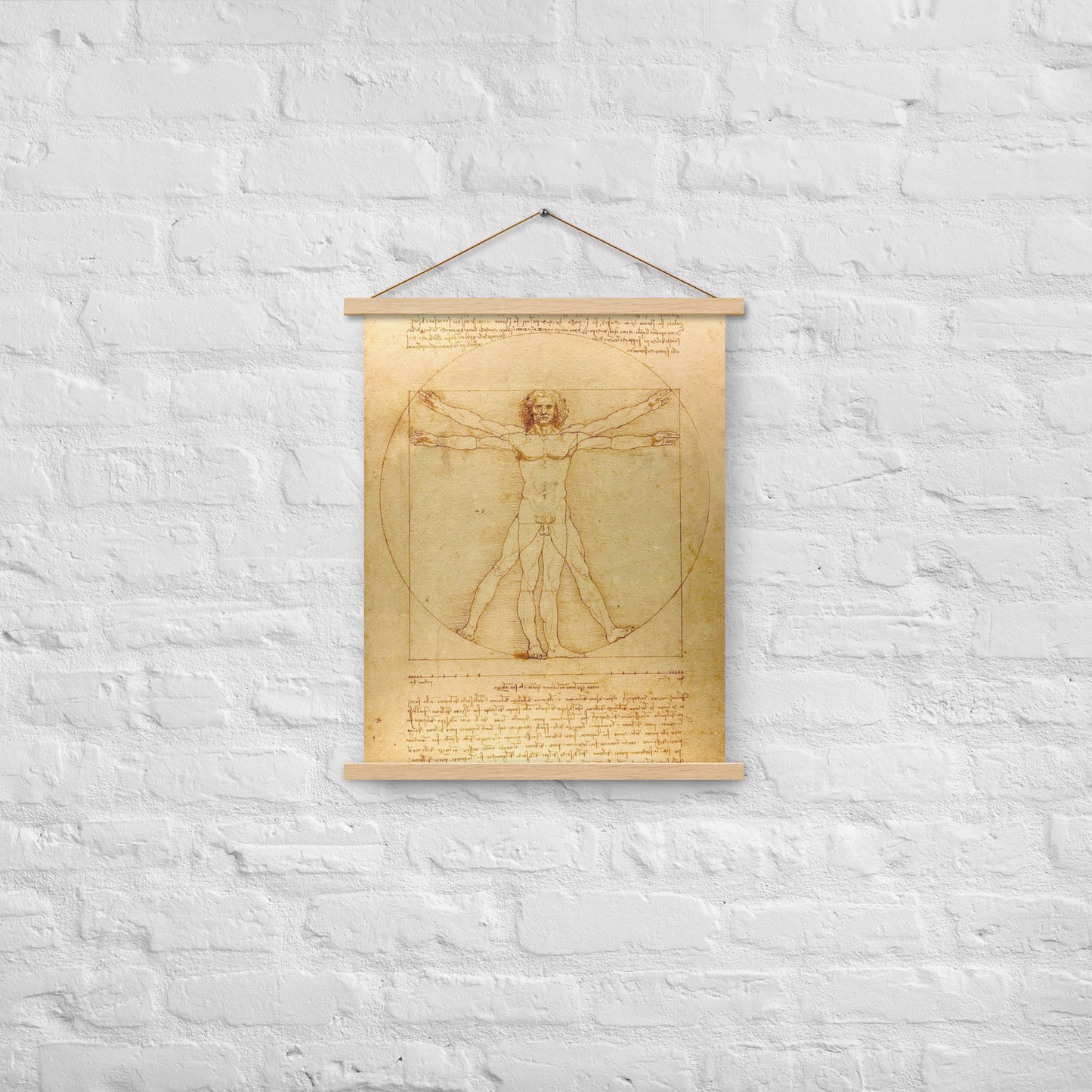 Vitruvian Man Leonardo da Vinci Wall Art