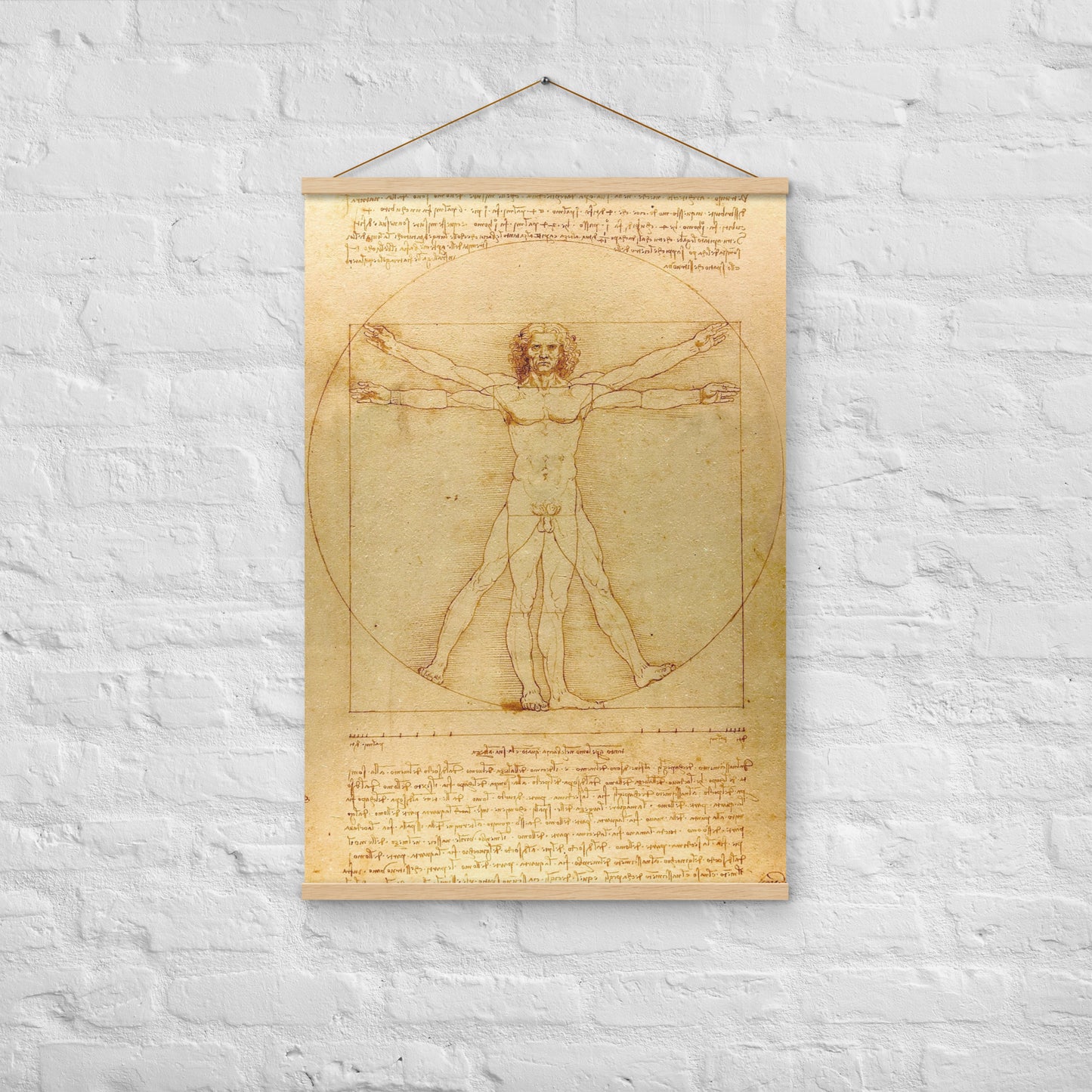 Vitruvian Man Leonardo da Vinci Wall Art