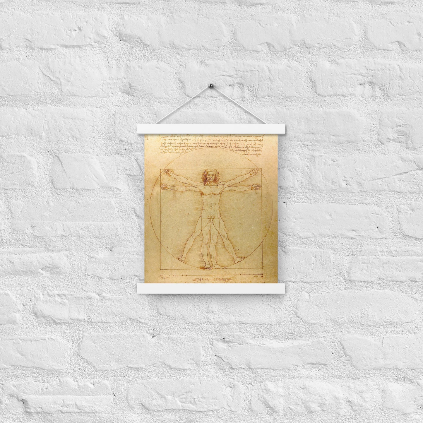 Vitruvian Man Leonardo da Vinci Wall Art