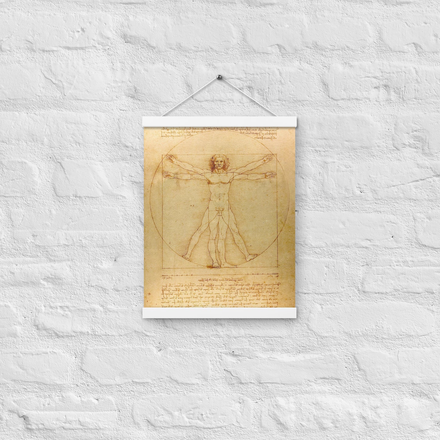 Vitruvian Man Leonardo da Vinci Wall Art