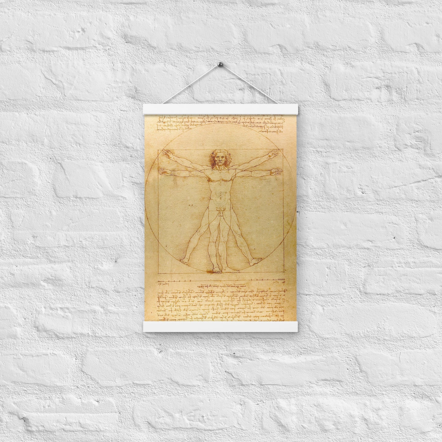 Vitruvian Man Leonardo da Vinci Wall Art