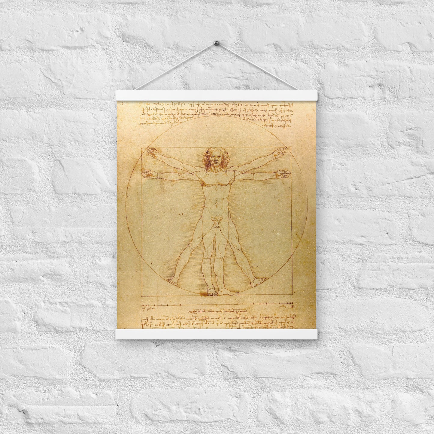 Vitruvian Man Leonardo da Vinci Wall Art