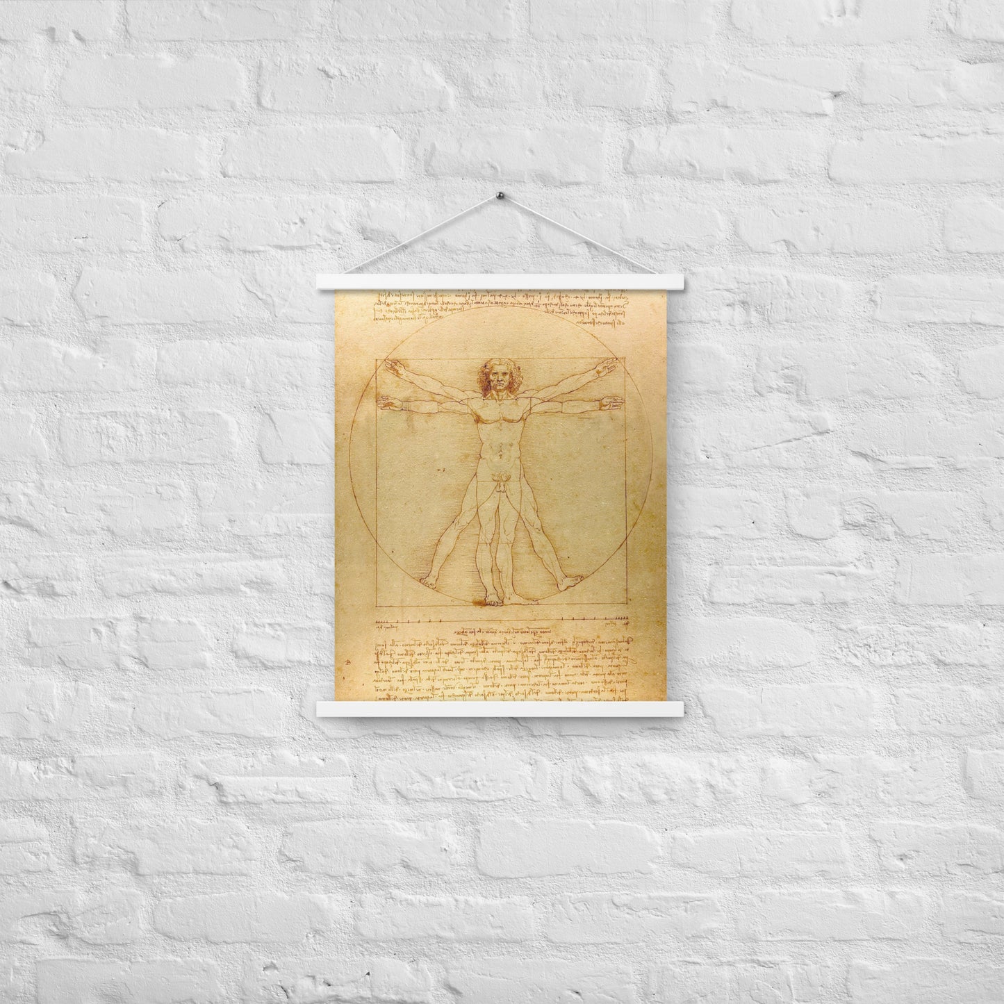 Vitruvian Man Leonardo da Vinci Wall Art