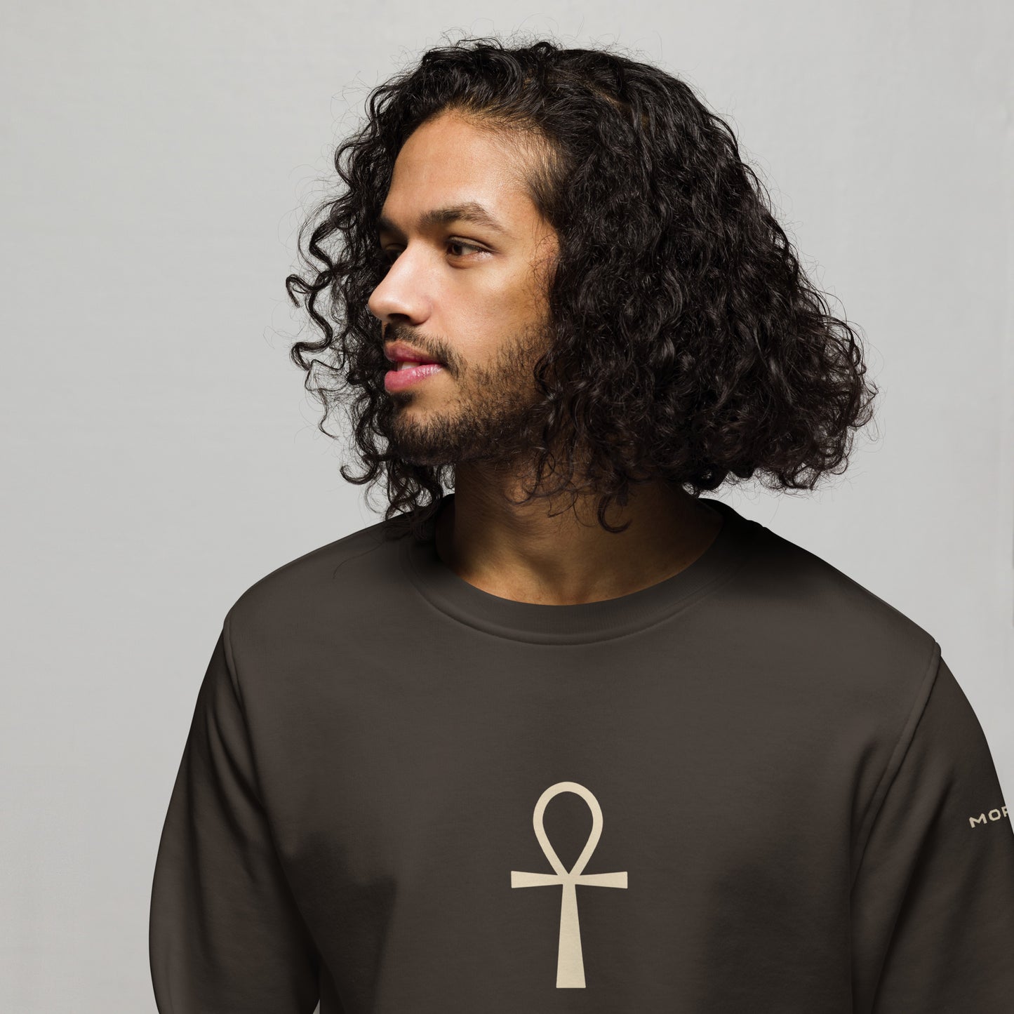 ANKH Symbol Brown Sweatshirt